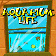 java  Aquarium Life