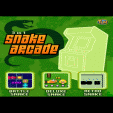 java  Snake Arcade
