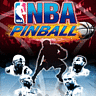 [NBA Pinbol]