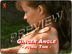java игра Ginger Angel - На лугу