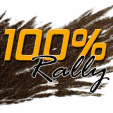 java  100% Rally