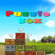 java  Puzzle Box