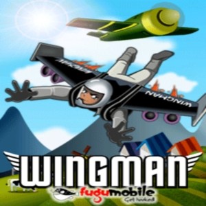 java игра Wing Man