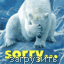 : Sorry...