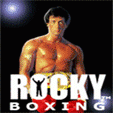 java  Rocky Boxing