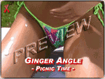 java игра Ginger Angel - На лугу
